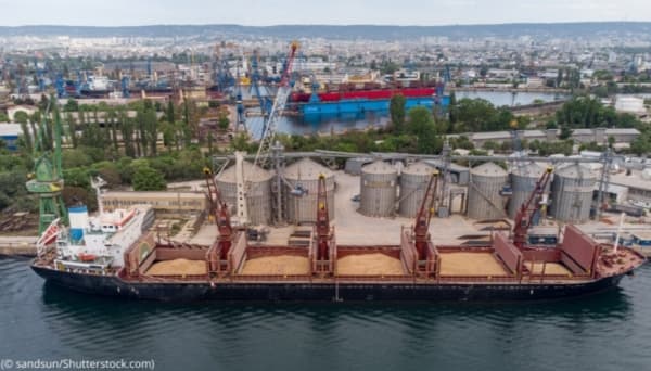 التوابع الضارة للهجمات التي تُشن على سفن الشحن في البحر الأحمر