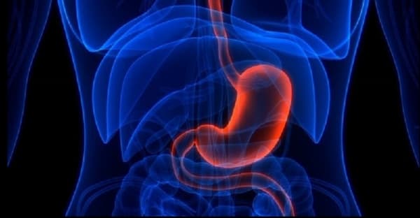 نصائح للحفاظ على صحة الجهاز الهضمي خلال فترة الصيام