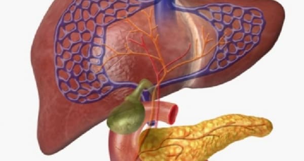 عادات يومية تساعدك على تحسين صحة هرمونات جسمك