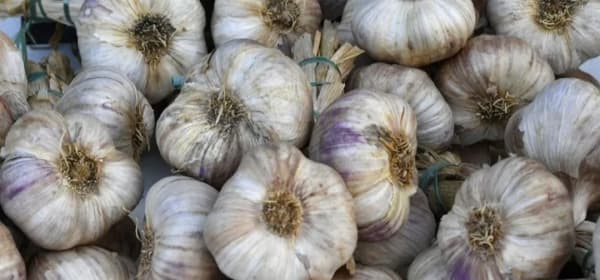5 فوائد عظيمة للثوم رغم رائحته الكريهة