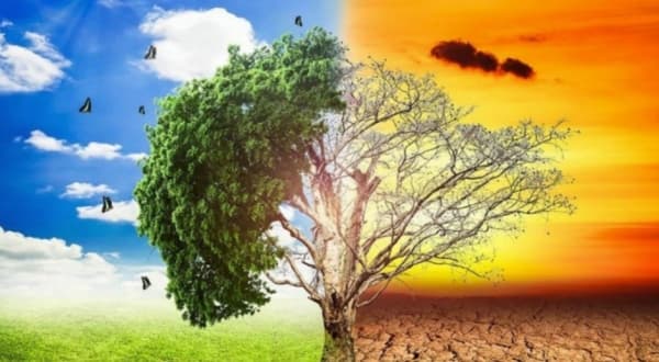 المركز الدولي للصحفيين يفتح باب التقديم لبرنامج المنح الإنتاجية